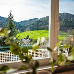 Apartman Schwarzwald Panorama Baden-Baden