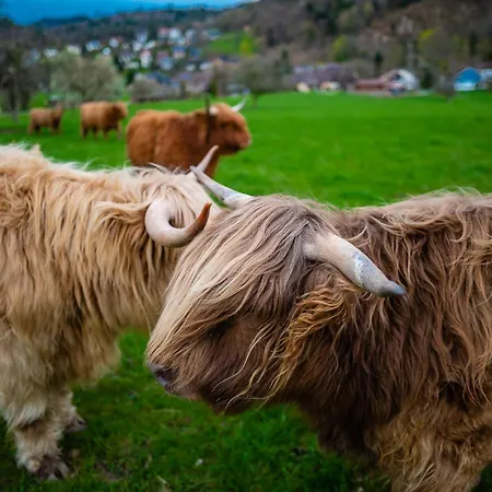 Schwarzwald Panorama *
