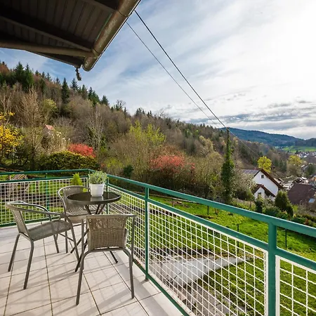 Schwarzwald Panorama דירה *