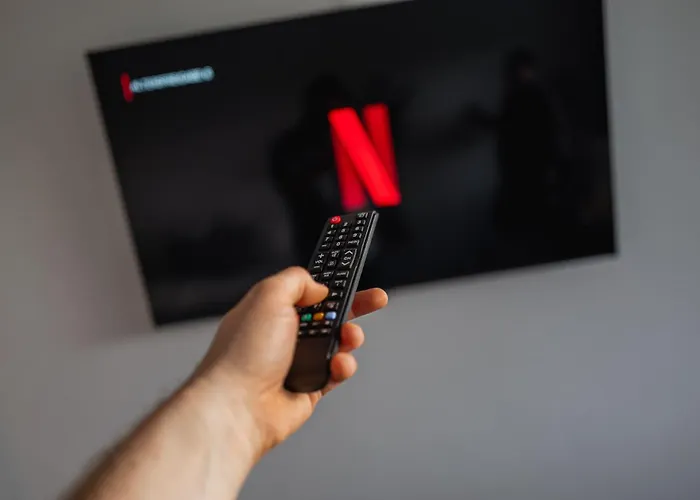 Schwarzwald Panorama *